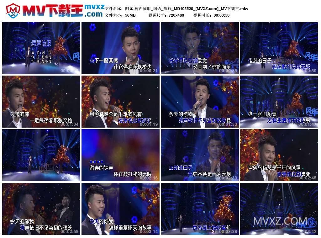 阳斌-涛声依旧_国语_流行_MD105520